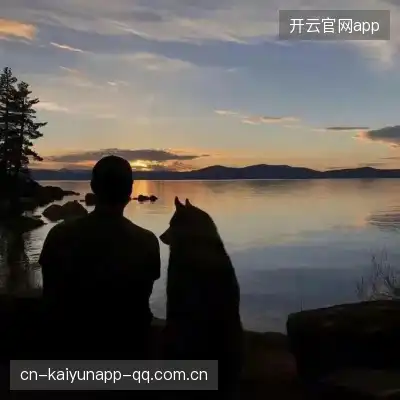胡壮泉